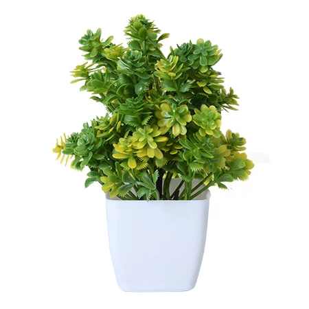 Artificial plant Product Photoshoot